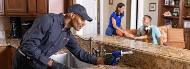 Best Emergency Pest Control  in Saline, MI